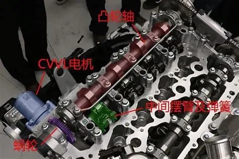 OIP-C.jpg
