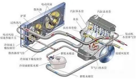 OIP-C.jpg